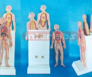 35CM HUMAN SYSTEMS DEMONSTRATING AND COMPASITING PLATFORM Ex