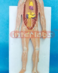DESKTYPE. DISSECTIBLE