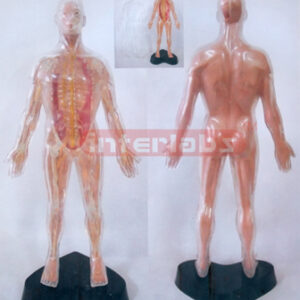 35CM TALL VERTICAL-STYLE