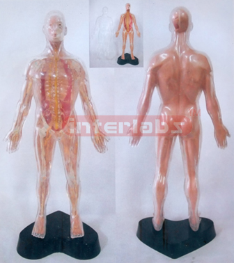 35CM TALL VERTICAL-STYLE