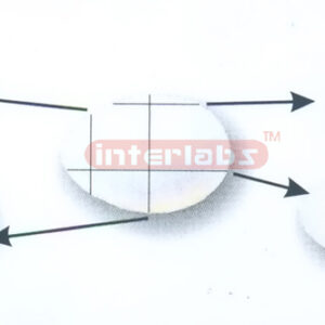 DIFFERENT SECTIONS OF AN OVAL CELL FOR HISTOLOGY Exporter &