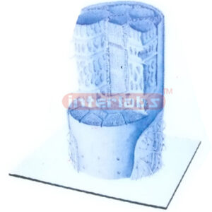 THREE DIMENSIONAL MODEL OF STRUCTURE OF A SKELETAL MUSCLES F