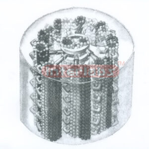 ANIMAL CELL CILIA STRUCTURE MODEL Exporter & Educational Lab
