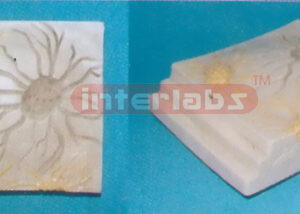 HUMAN NEURON MODEL Exporter & Educational Laboratory Equipme