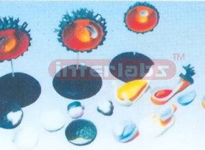 MODEL OF HUMAN EMBRYO FECUNDATION AND EGG SPLITING DEVELOPME