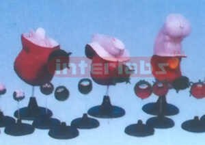 MODEL OF THE DEVELOPMENT COURSE OF HUMAN EMBRYO Exporter & E