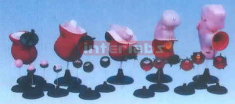 MODEL OF THE DEVELOPMENT COURSE OF HUMAN EMBRYO Exporter & E