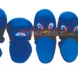 HUMAN MODEL OF THREE GERMINAL LAYER Exporter & Educational L