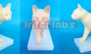 CAT MODEL Exporter & Educational Laboratory Equipment Suppli