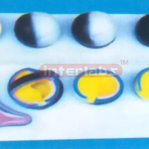 DEVELOPMENT COURSE MODEL OF FROG Exporter & Educational Labo