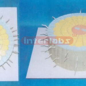 PLANT ANATOMICAL ROOT MODEL Exporter & Educational Laborator