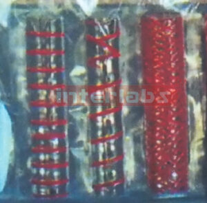 STRUCTURE MODEL DUCT AND SIEVE TUBE Exporter & Educational L