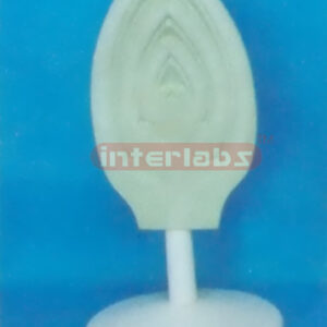 MODEL OF THE APICAL BUD Exporter & Educational Laboratory Eq