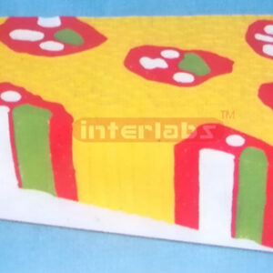 PLANT MONOCOT STEM MODEL Exporter & Educational Laboratory E