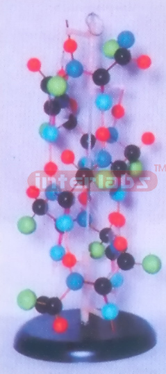 SECONDARY PROTEIN STRUCTURE Exporter & Educational Laborator