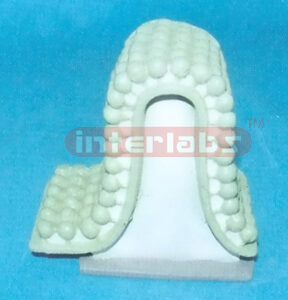 MODEL OF MITOCHONDRION ELEMENTARY PARTICLE Exporter & Educat