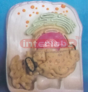 MODEL OF ULTRA-MICRO CELL VERTICAL STRUCTURE (B TYPE) Export