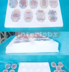 SIMPLE  ANIMAL MEIOSIS MODELS Exporter & Educational Laborat