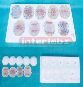 ADVANCED ANIMAL MEIOSIS MODELS Exporter & Educational Labora