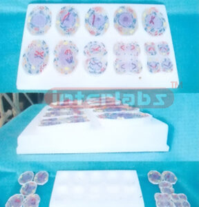 SIMPLE  ANIMAL MITOSIS MODELS Exporter & Educational Laborat