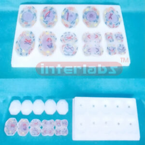 ADVANCED ANIMAL MITOSIS MODELS Exporter & Educational Labora
