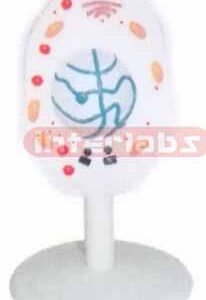 ANIMAL MEIOSIS TYPE F Exporter & Educational Laboratory Equi