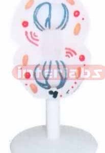 ANIMAL MEIOSIS TYPE J Exporter & Educational Laboratory Equi