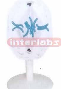 ANIMAL MITOSIS TYPE G Exporter & Educational Laboratory Equi