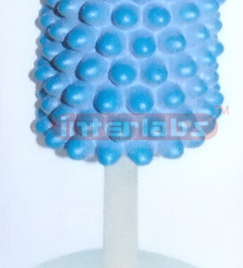 VERTICAL HYDROPHOBIA VIRUS MODEL Exporter & Educational Labo