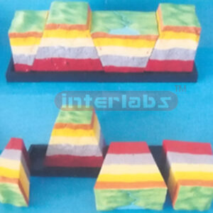 MODEL OF RIET CONSTRUCTARE AND HORST & GRADBEN DEVELOPMENT E