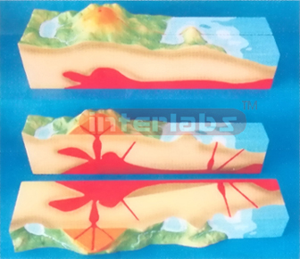 MODEL OF VOLCANO Exporter & Educational Laboratory Equipment