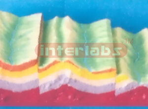 MODEL OF FOLDING CONST AND ITS TOPOGRAPHY FEATURE EVOLUTION