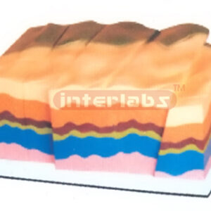 EARTH FAULT AND FRATURES DEMONSTRATION MODEL Exporter & Educ