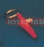 OESOPHAGUS & TRACHEA KEY RING Exporter & Educational Laborat