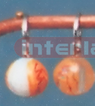EYEBALL KEY RING (B TYPE) Exporter & Educational Laboratory