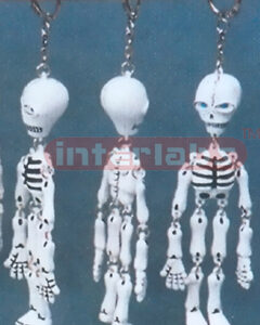 MIDDLE SKELETON KEY RING Exporter & Educational Laboratory E