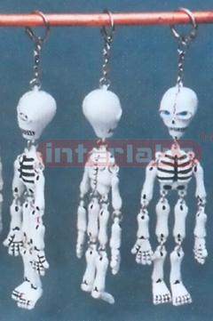 MIDDLE SKELETON KEY RING Exporter & Educational Laboratory E