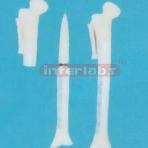 SMALL ADVANCED BONE PEN WITHOUT KEY AND HANGING TIE Exporter