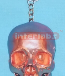 COPPERISED SKULL WITH KEY RING Exporter & Educational Labora