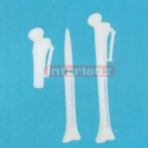 SMALL ADVANCED BONE PEN WITH KEY AND WITHOUT HANGING TIE Exp