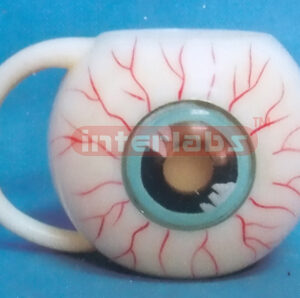 EYE BALL MUG Exporter & Educational Laboratory Equipment Sup