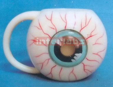 EYE BALL MUG Exporter & Educational Laboratory Equipment Sup