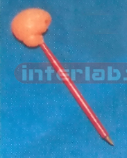 BRAIN TUBE PEN Exporter & Educational Laboratory Equipment S