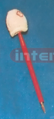 INTESTINES PEN Exporter & Educational Laboratory Equipment S
