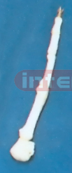 SKULL FINGER PEN Exporter & Educational Laboratory Equipment