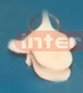 LIFESIZE THORACIC KET RING Exporter & Educational Laboratory