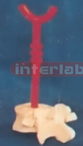 RED ARCUS AORTAE PEN B TYPE Exporter & Educational Laborator