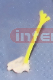 YELLOW N ISCHIADICUS PEN Exporter & Educational Laboratory E