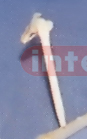 KNEE JOINT PEN Exporter & Educational Laboratory Equipment S