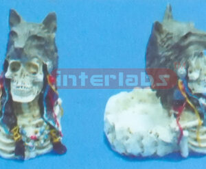 WOLF HEAD SMOKE CROCK Exporter & Educational Laboratory Equi
